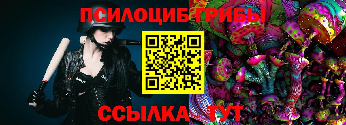 Галлюциногенные грибы GOLDEN TEACHER Сунжа